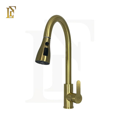 Pull Out Kitchen Sink Mixer - FL